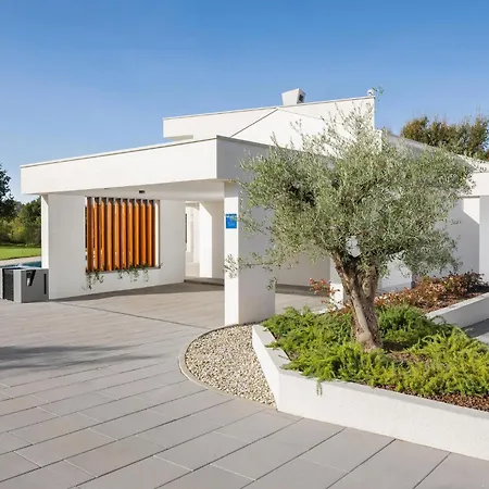 Amazing In With Heated Swimming Pool